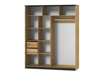 Шкаф-купе 1500 мм Аэлита ПШ-2.9 (Росток) в Артёмовском - artyomovskij.mebel-e96.ru