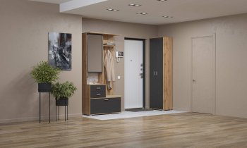 Шкаф для прихожей 65.08 Антре с зеркалом вотан/диамант (Олмеко) в Артёмовском - artyomovskij.mebel-e96.ru