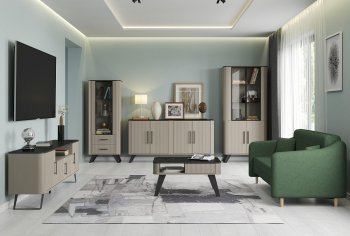 Стенка Фиделия, модульная (Олмеко) в Артёмовском - artyomovskij.mebel-e96.ru