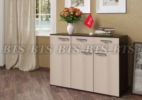 Комод Стандарт 4 NEW (БТС) в Артёмовском - artyomovskij.mebel-e96.ru