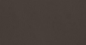 Кровать с подъемным механизмом Хлоя 1600 Темно-коричневый (НиК) в Артёмовском - artyomovskij.mebel-e96.ru