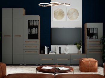 Стенка Наоми (БТС) в Артёмовском - artyomovskij.mebel-e96.ru