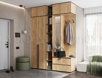Прихожая Норд модульная крафт золотой (Миф) в Артёмовском - artyomovskij.mebel-e96.ru