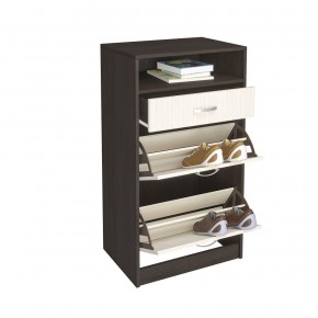 Обувница Вега ОБ-3 (ИЦ) в Артёмовском - artyomovskij.mebel-e96.ru