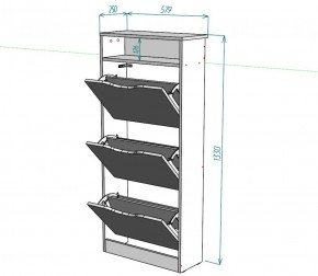 Обувница W10 (Белый) в Артёмовском - artyomovskij.mebel-e96.ru