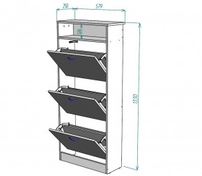 Обувница W9 (ЯАС) в Артёмовском - artyomovskij.mebel-e96.ru