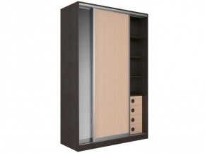 Шкаф-купе Рене 1500 вариант 1 (ЛДСП/ЛДСП) в Артёмовском - artyomovskij.mebel-e96.ru