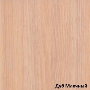 Шкаф-купе Рио 1-600 Амели (полки справа) в Артёмовском - artyomovskij.mebel-e96.ru