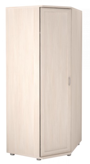 Шкаф угловой для одежды Ника-Люкс 30 с зеркалами в Артёмовском - artyomovskij.mebel-e96.ru