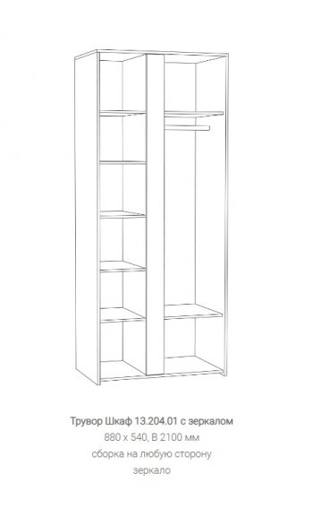 Шкаф Трувор 13.204.01 с зеркалом в Артёмовском - artyomovskij.mebel-e96.ru